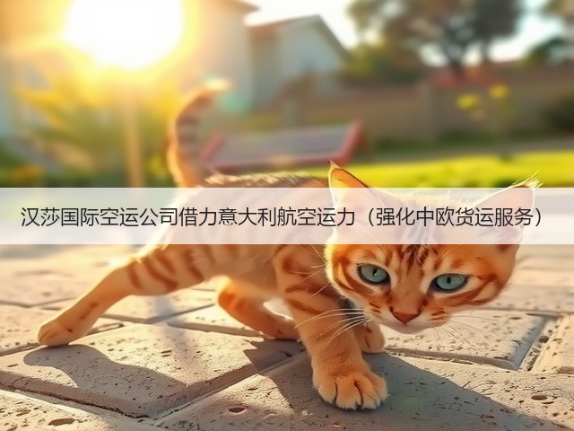 汉莎国际空运公司借力意大利航空运力（强化中欧货运服务）(图1)