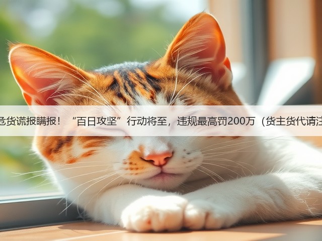 杜绝危货谎报瞒报！“百日攻坚”行动将至，违规最高罚200万（货主货代请注意）(图1)