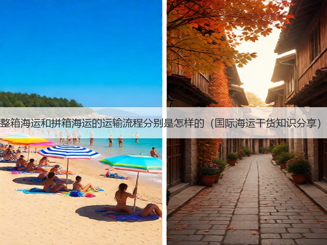 整箱海运和拼箱海运的运输流程分别是怎样的（国际海运干货知识分享）(图3)