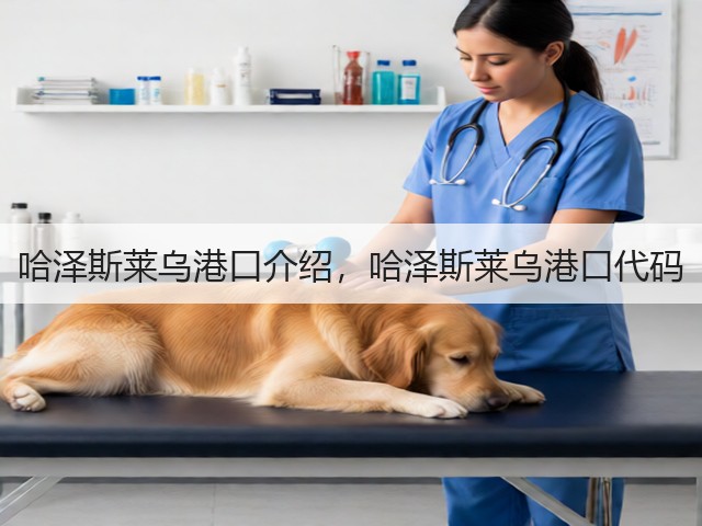 哈泽斯莱乌港口介绍，哈泽斯莱乌港口代码(图2)