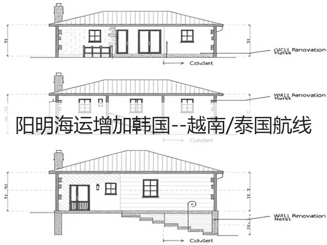 阳明海运增加韩国--越南/泰国航线(图3)