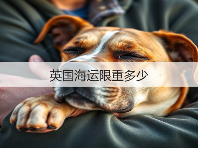 英国海运限重多少(图3) 英国海运限重多少(图3)