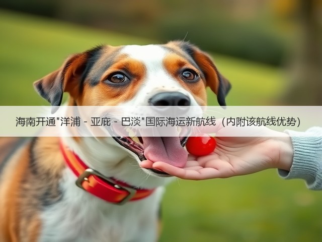 海南开通洋浦-亚庇-巴淡国际海运新航线(内附该航线优势)(图3) 海南开通洋浦-亚庇-巴淡国际海运新航线(内附该航线优势)(图3)