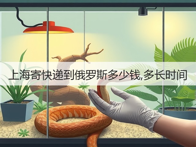 上海寄快递到俄罗斯多少钱,多长时间(图1)