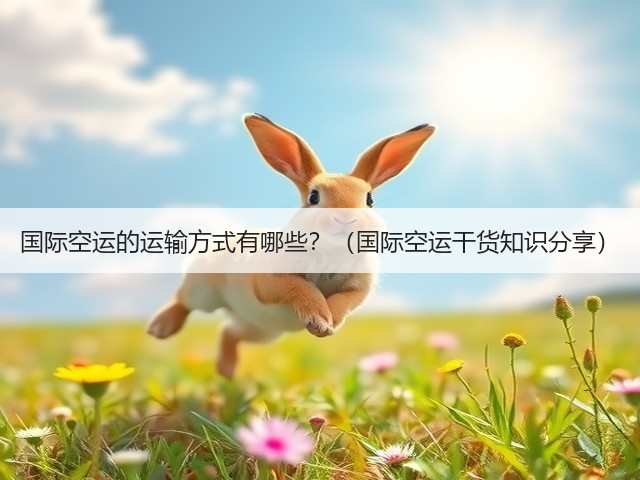 国际空运的运输方式有哪些？（国际空运干货知识分享）(图2)