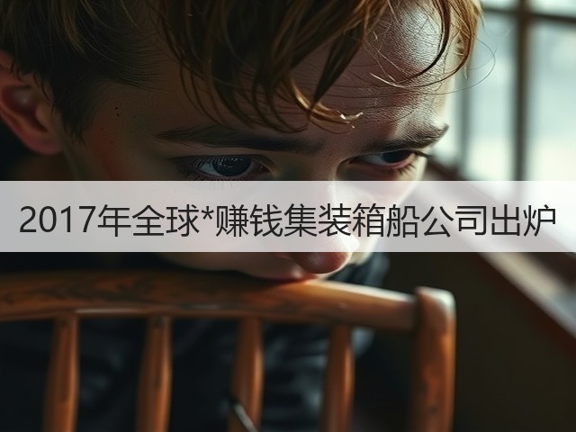 2017年全球*赚钱集装箱船公司出炉(图3)