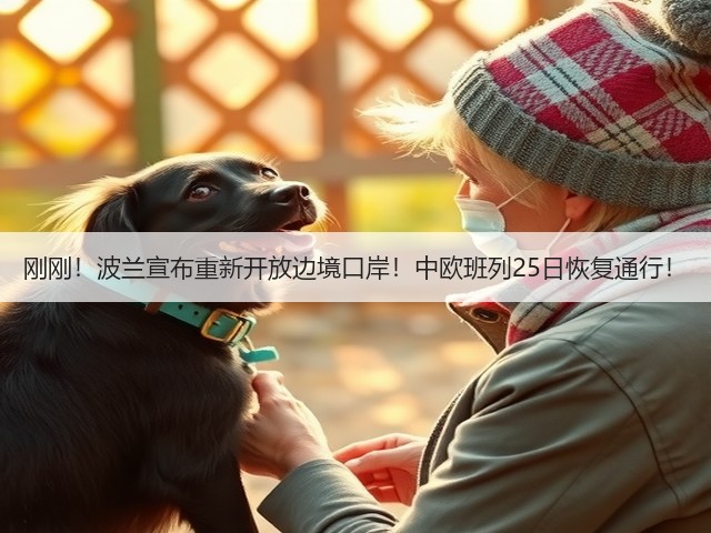 刚刚！波兰宣布重新开放边境口岸！中欧班列25日恢复通行！(图2)