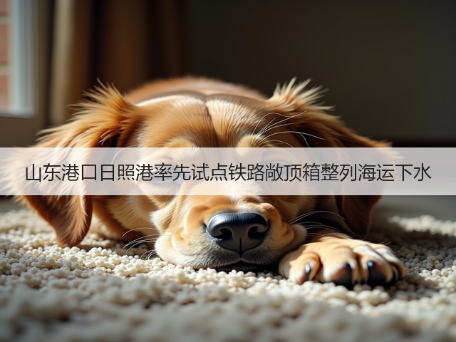 山东港口日照港率先试点铁路敞顶箱整列海运下水(图1)
