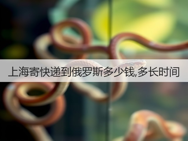 上海寄快递到俄罗斯多少钱,多长时间(图3)