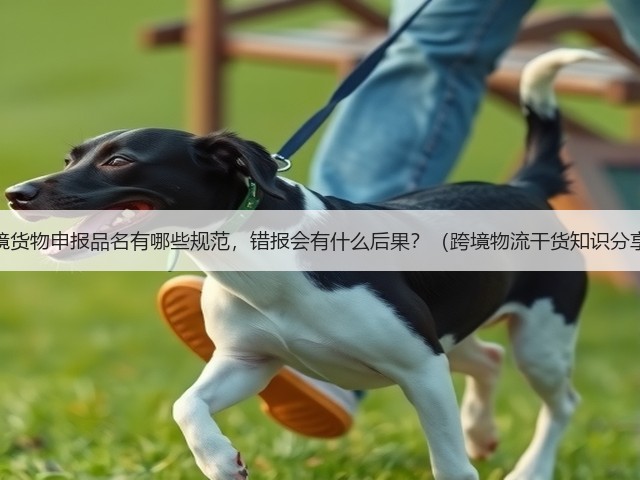 跨境货物申报品名有哪些规范，错报会有什么后果？（跨境物流干货知识分享）(图1)