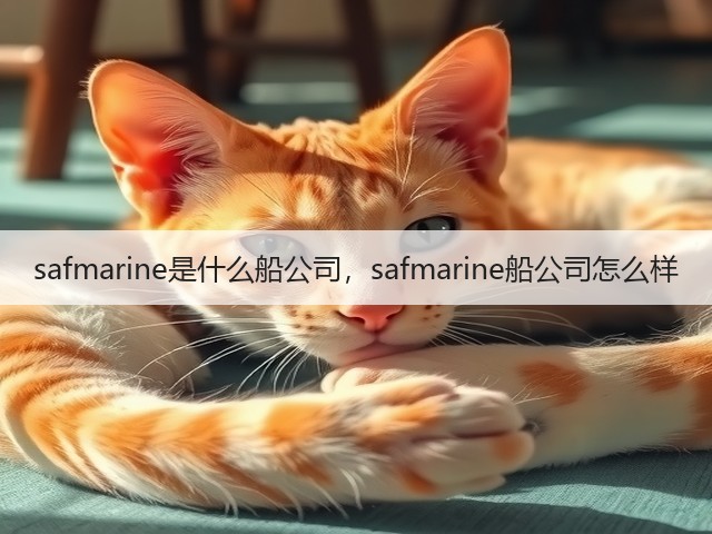 safmarine是什么船公司,safmarine船公司怎么样(图2) safmarine是什么船公司,safmarine船公司怎么样(图2)