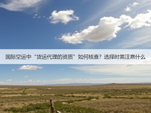 国际空运中“货运代理的资质”如何核查?选择时需注意什么(图3) 国际空运中“货运代理的资质”如何核查?选择时需注意什么(图3)