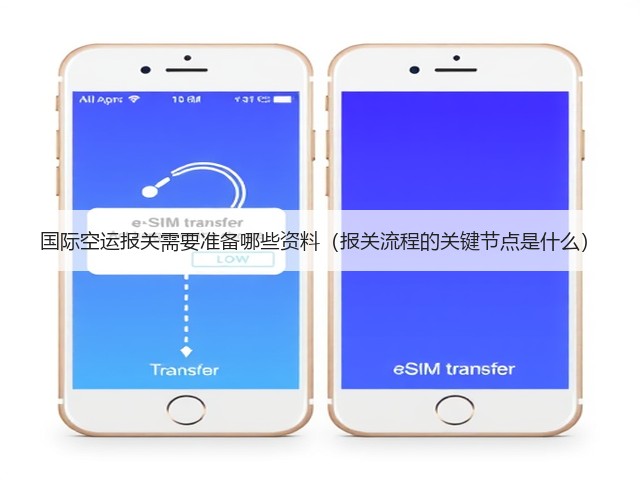 国际空运报关需要准备哪些资料(报关流程的关键节点是什么)(图3) 国际空运报关需要准备哪些资料(报关流程的关键节点是什么)(图3)