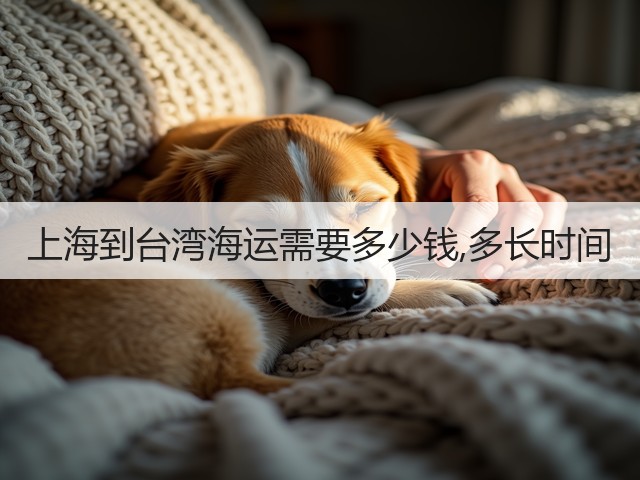 上海到台湾海运需要多少钱,多长时间(图1)
