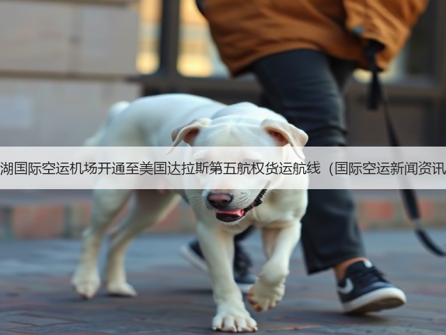 花湖国际空运机场开通至美国达拉斯第五航权货运航线（国际空运新闻资讯）(图3)
