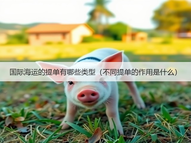 国际海运的提单有哪些类型（不同提单的作用是什么）(图2)