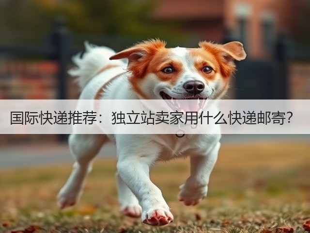 国际快递推荐:独立站卖家用什么快递邮寄?(图3) 国际快递推荐:独立站卖家用什么快递邮寄?(图3)