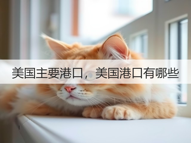 美国主要港口,美国港口有哪些(图2) 美国主要港口,美国港口有哪些(图2)