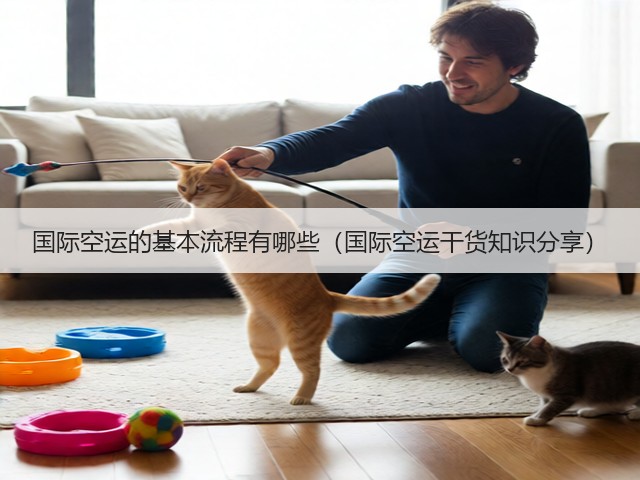 国际空运的基本流程有哪些（国际空运干货知识分享）(图3)