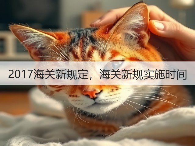 2017海关新规定，海关新规实施时间(图1)