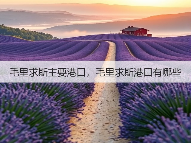 毛里求斯主要港口,毛里求斯港口有哪些(图3) 毛里求斯主要港口,毛里求斯港口有哪些(图3)