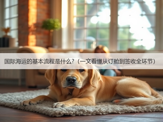 国际海运的基本流程是什么?（一文看懂从订舱到签收全环节）(图1)