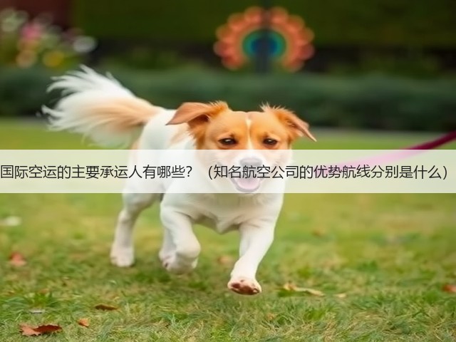 国际空运的主要承运人有哪些?(知名航空公司的优势航线分别是什么)(图2) 国际空运的主要承运人有哪些?(知名航空公司的优势航线分别是什么)(图2)