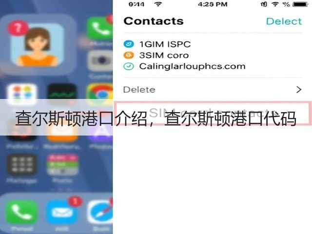 查尔斯顿港口介绍,查尔斯顿港口代码(图1) 查尔斯顿港口介绍,查尔斯顿港口代码(图1)