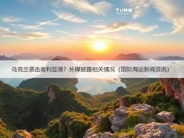 乌克兰袭击奥利亚港?外媒披露相关情况(国际海运新闻资讯)(图1) 乌克兰袭击奥利亚港?外媒披露相关情况(国际海运新闻资讯)(图1)
