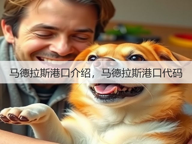 马德拉斯港口介绍,马德拉斯港口代码(图3) 马德拉斯港口介绍,马德拉斯港口代码(图3)