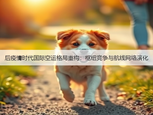 后疫情时代国际空运格局重构：枢纽竞争与航线网络演化(图1)