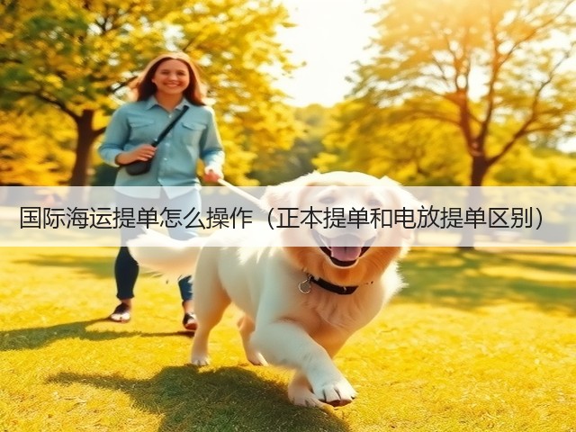 国际海运提单怎么操作(正本提单和电放提单区别)(图3) 国际海运提单怎么操作(正本提单和电放提单区别)(图3)