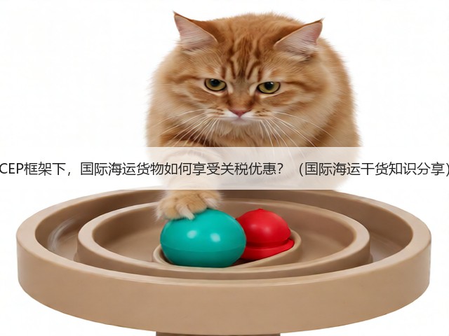 RCEP框架下,国际海运货物如何享受关税优惠?(国际海运干货知识分享)(图3) RCEP框架下,国际海运货物如何享受关税优惠?(国际海运干货知识分享)(图3)