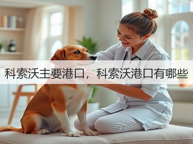 科索沃主要港口，科索沃港口有哪些(图2)