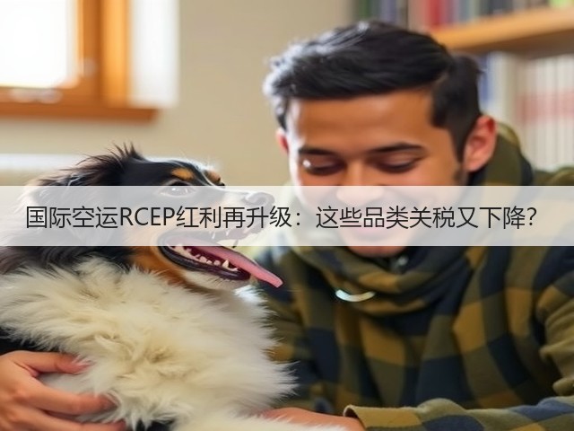 国际空运RCEP红利再升级:这些品类关税又下降?(图3) 国际空运RCEP红利再升级:这些品类关税又下降?(图3)