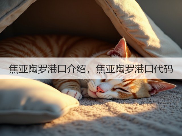 焦亚陶罗港口介绍，焦亚陶罗港口代码(图2)