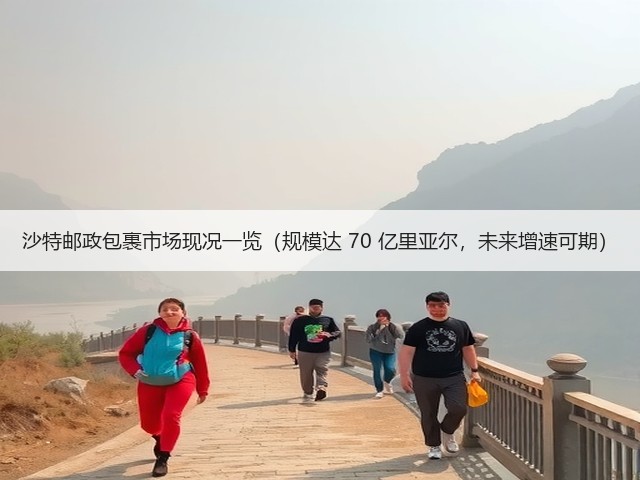 沙特邮政包裹市场现况一览（规模达 70 亿里亚尔，未来增速可期）(图1)