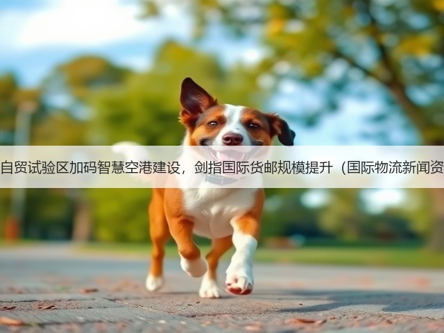 广西自贸试验区加码智慧空港建设，剑指国际货邮规模提升（国际物流新闻资讯）(图1)