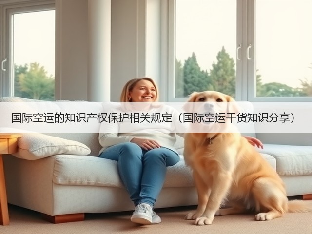 国际空运的知识产权保护相关规定（国际空运干货知识分享）(图3)