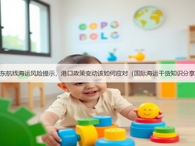 中东航线海运风险提示，港口政策变动该如何应对（国际海运干货知识分享）(图3)
