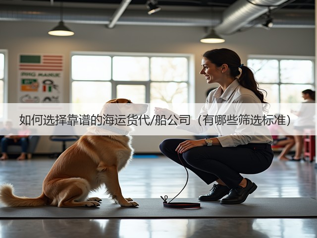如何选择靠谱的海运货代/船公司(有哪些筛选标准)(图1) 如何选择靠谱的海运货代/船公司(有哪些筛选标准)(图1)