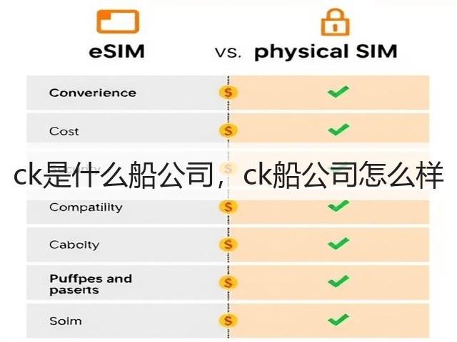 ck是什么船公司，ck船公司怎么样(图3)
