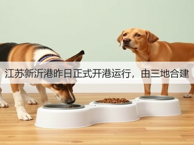 江苏新沂港昨日正式开港运行，由三地合建(图3)