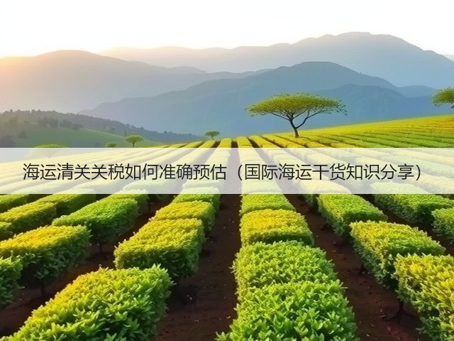 海运清关关税如何准确预估(国际海运干货知识分享)(图3) 海运清关关税如何准确预估(国际海运干货知识分享)(图3)