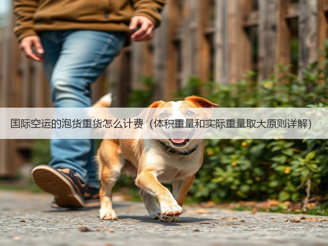 国际空运的泡货重货怎么计费(体积重量和实际重量取大原则详解)(图2) 国际空运的泡货重货怎么计费(体积重量和实际重量取大原则详解)(图2)