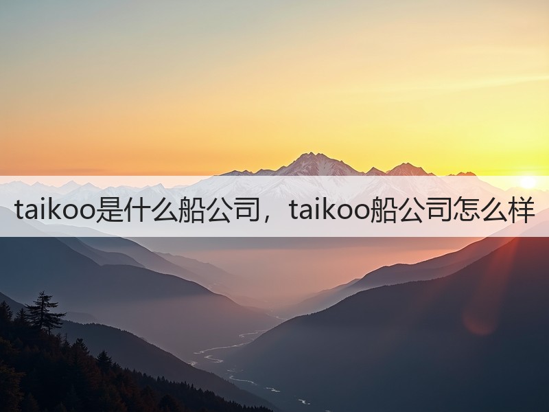 taikoo是什么船公司，taikoo船公司怎么样