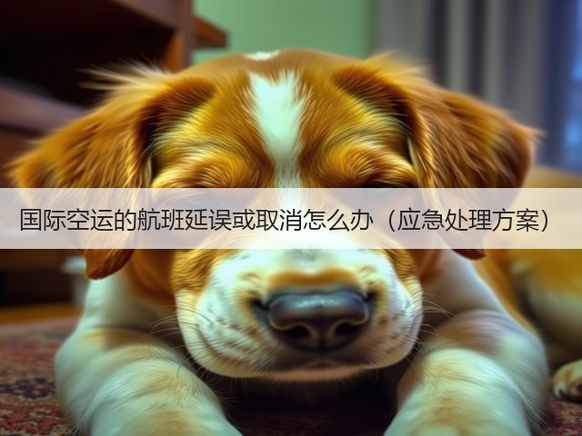 国际空运的航班延误或取消怎么办(应急处理方案)(图2) 国际空运的航班延误或取消怎么办(应急处理方案)(图2)