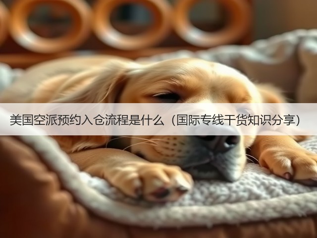 美国空派预约入仓流程是什么（国际专线干货知识分享）(图3)