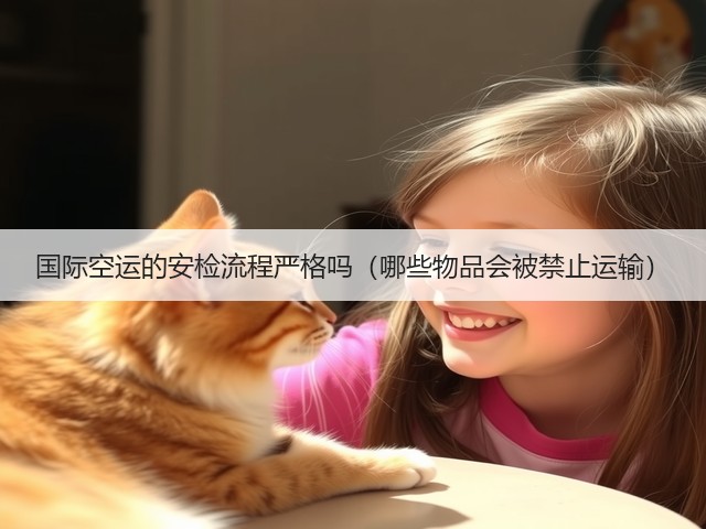 国际空运的安检流程严格吗(哪些物品会被禁止运输)(图1) 国际空运的安检流程严格吗(哪些物品会被禁止运输)(图1)