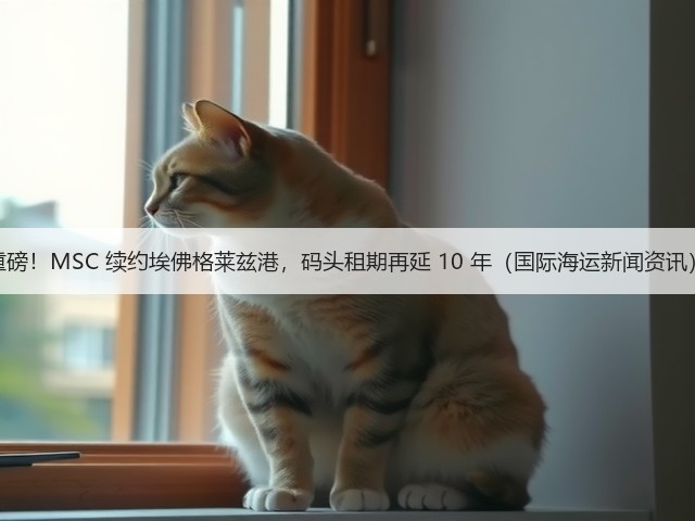 重磅!MSC 续约埃佛格莱兹港,码头租期再延 10 年(国际海运新闻资讯)(图3) 重磅!MSC 续约埃佛格莱兹港,码头租期再延 10 年(国际海运新闻资讯)(图3)
